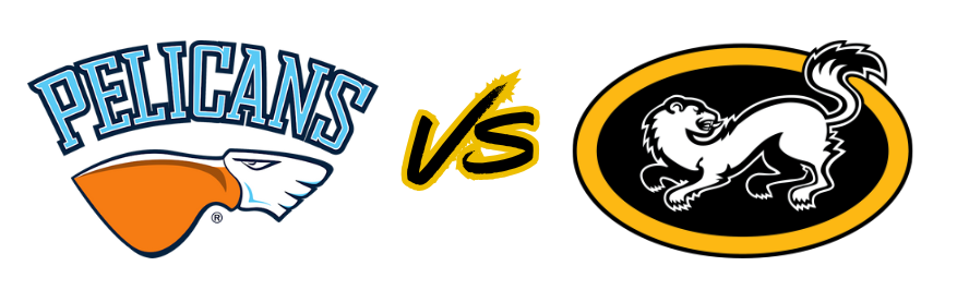 Fanireissu: Pelicans – Kärpät la 29.11.2025